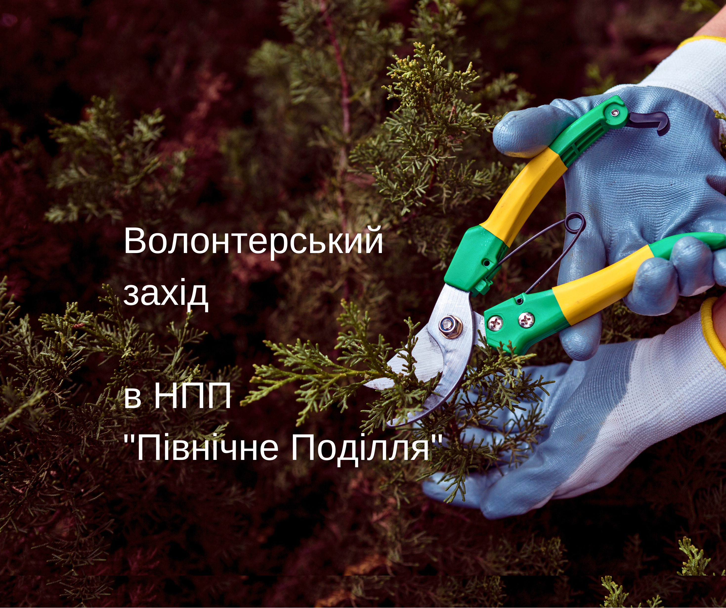 Збережемо унікальні острівки степу в НПП «Північне Поділля»