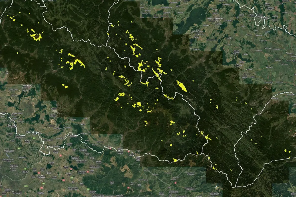 Satellite Monitoring of Carpathian Primeval Forests: August 2025