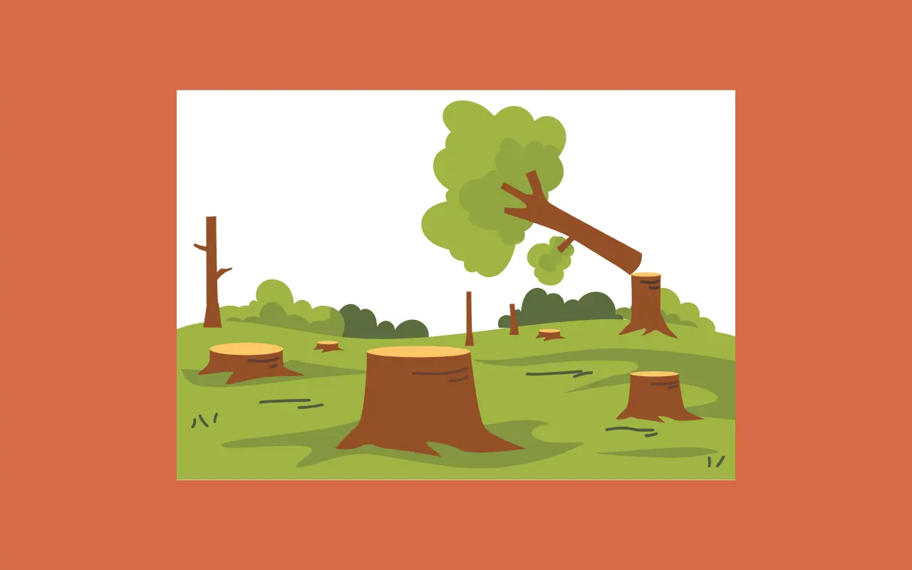 Are Illegal Logging Operations More Profitable Than Legal Ones?