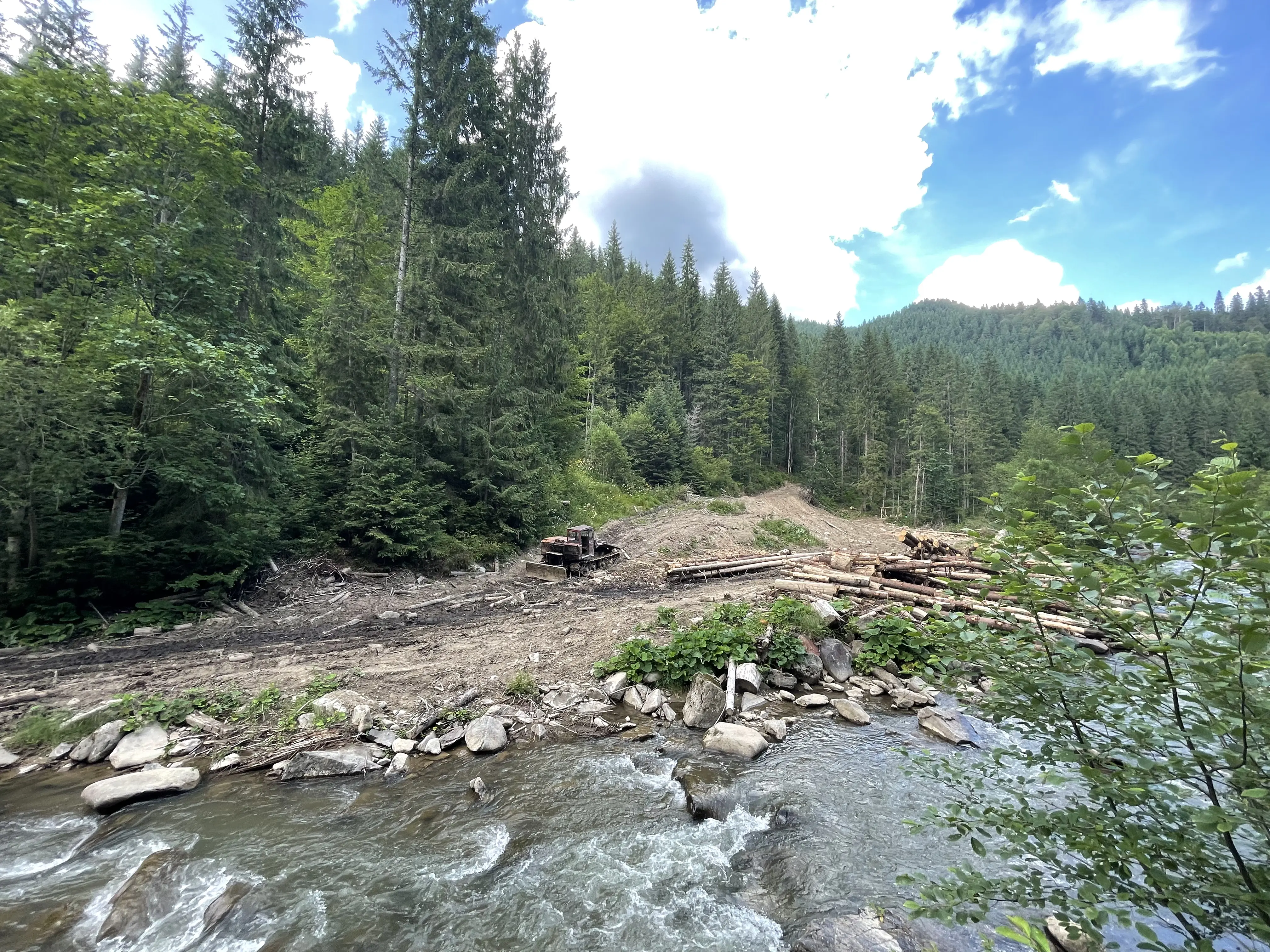 Forest Law Violations in the Brusturyanske Forestry Enterprise