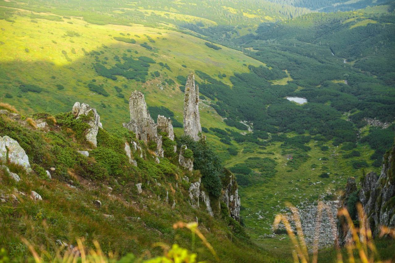 Стартує природоохоронний тиждень від ГО "ЛІіС": розклад на 5 вересня