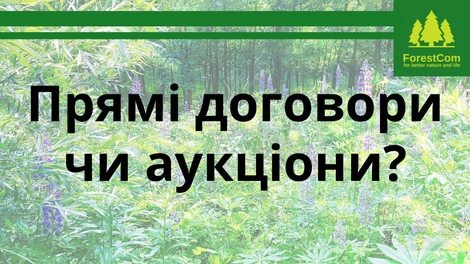Вимоги законодавства щодо реалізації необробленої деревини