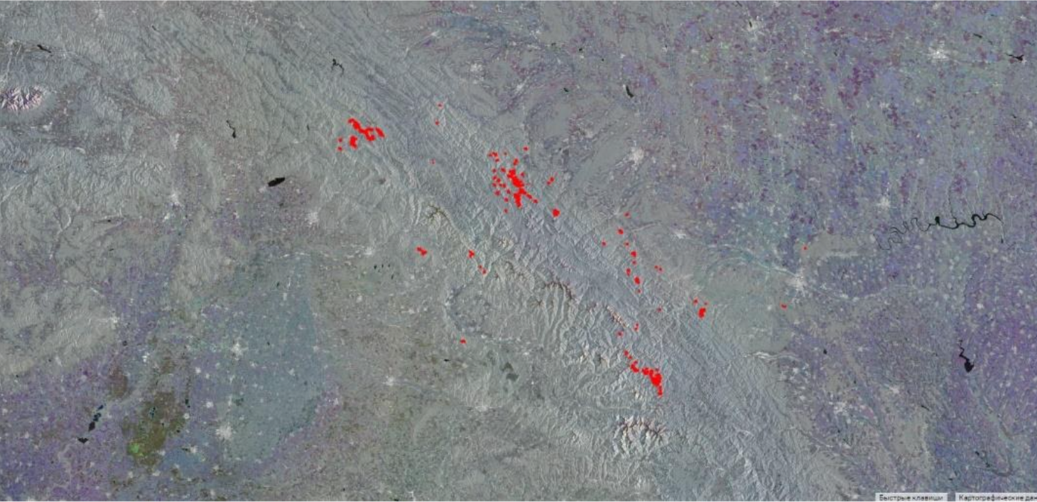 Monitoring report of old growth forest* changes in the Ukrainian Carpathians for November 2021