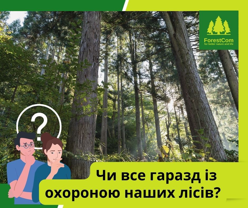 Хто і чому не звітує про виявлені лісопорушення, та інші цікаві деталі нашого дослідження
