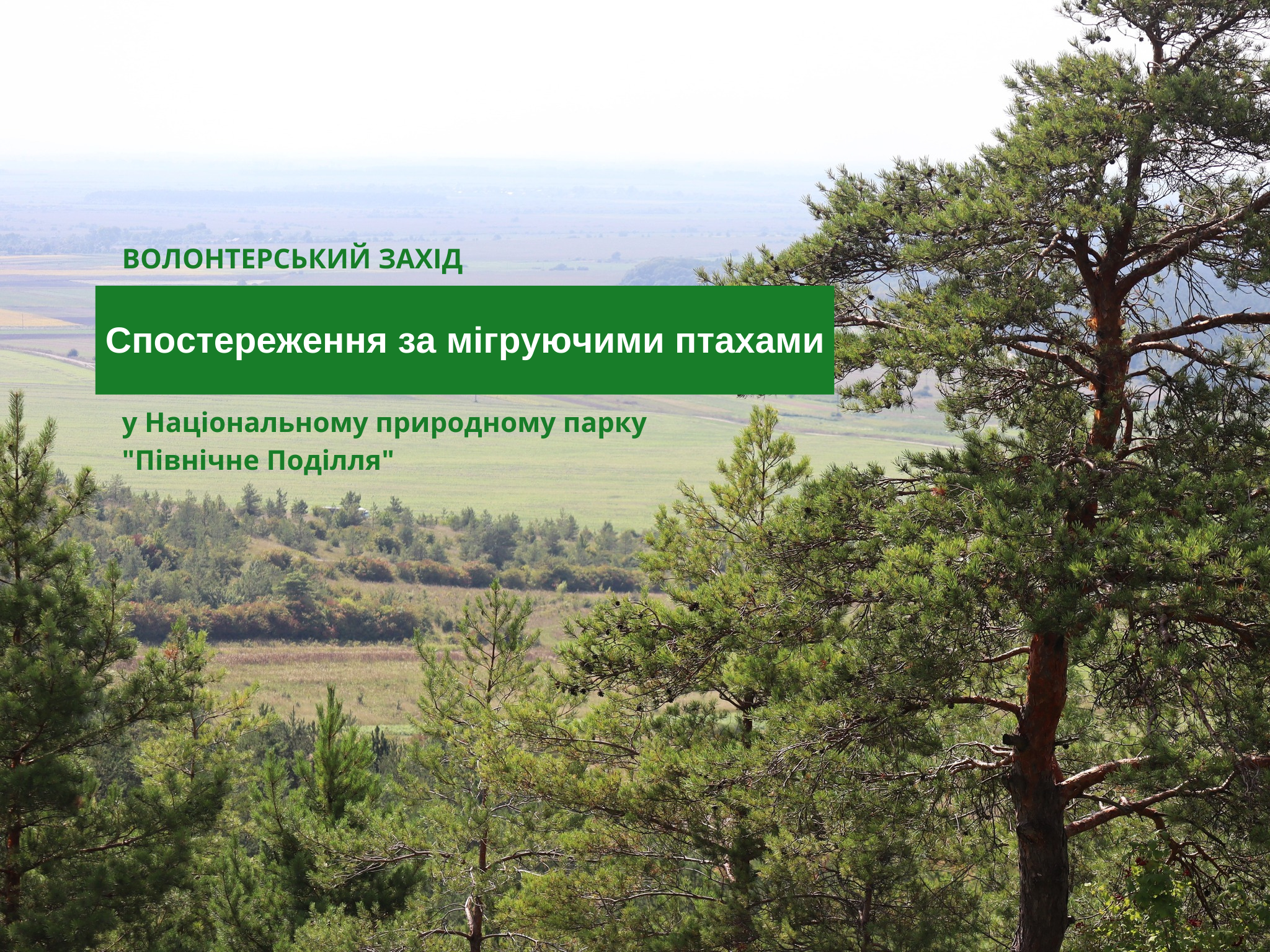 Спостереження за мігруючими птахами