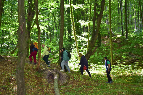 forestcom-30.05.26_7.jpg