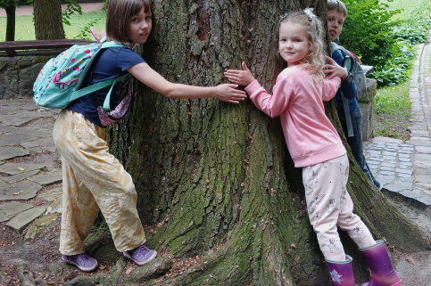 forestcom-qvest-6.jpg