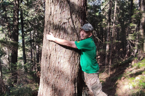 forestcom-yayko_2.jpg