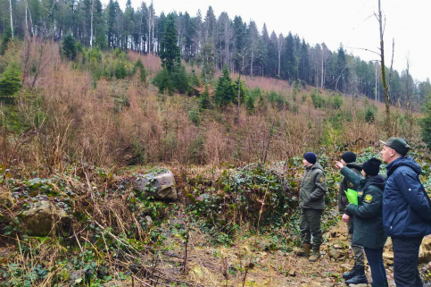 forestcom-vygodskyy-8.jpg