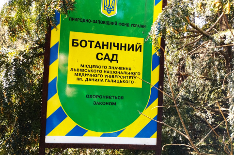 forestcom_botsad-4.jpg