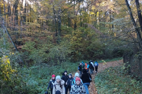 forestcom-ZD-25.10.25-2.jpg