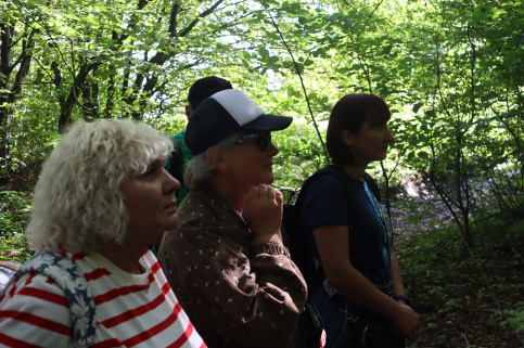 IMG_5268.JPG