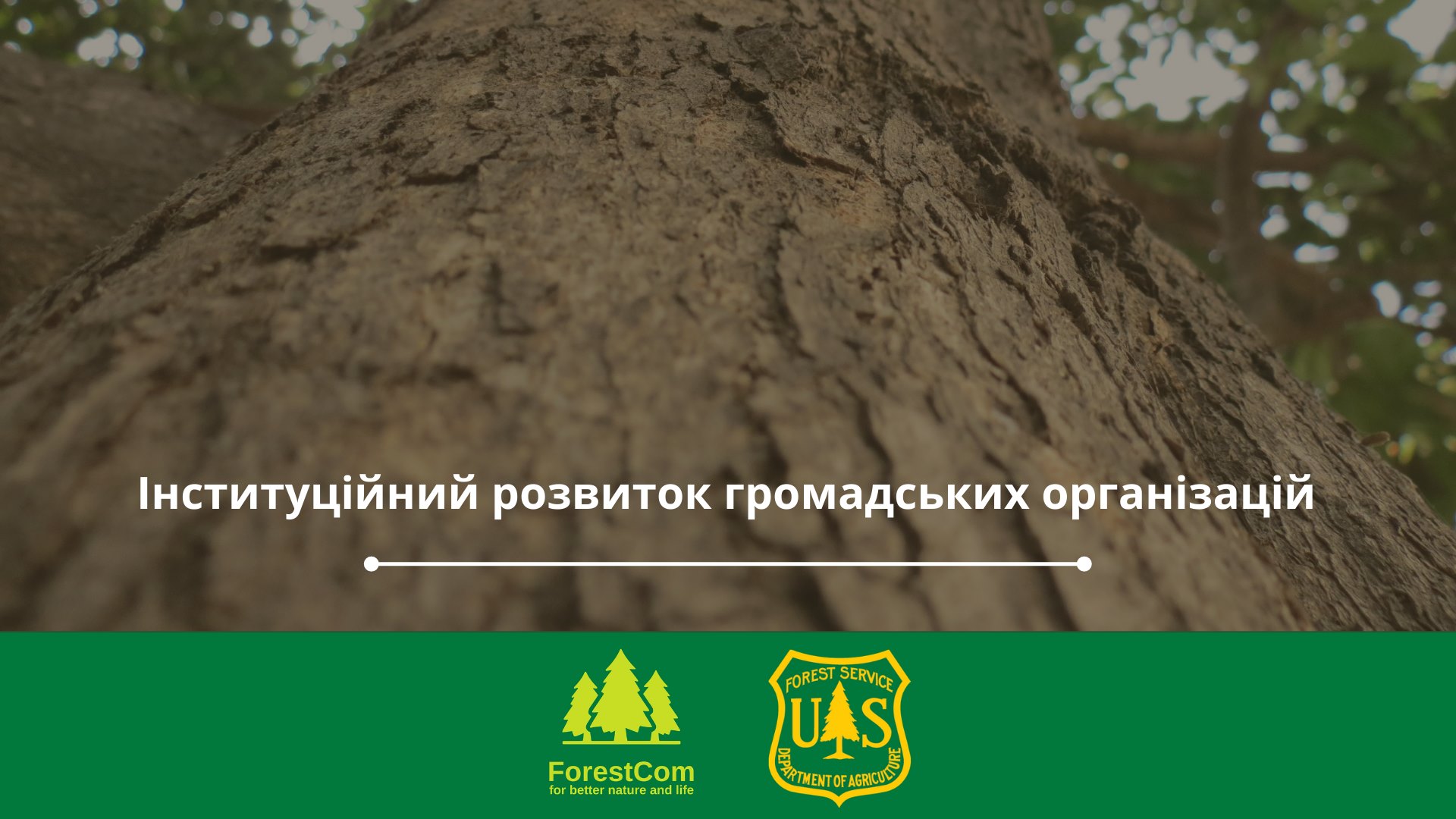 Institutional development of CSOs