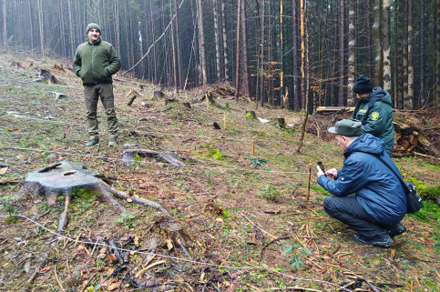 forestcom-vygodskyy-2.jpg