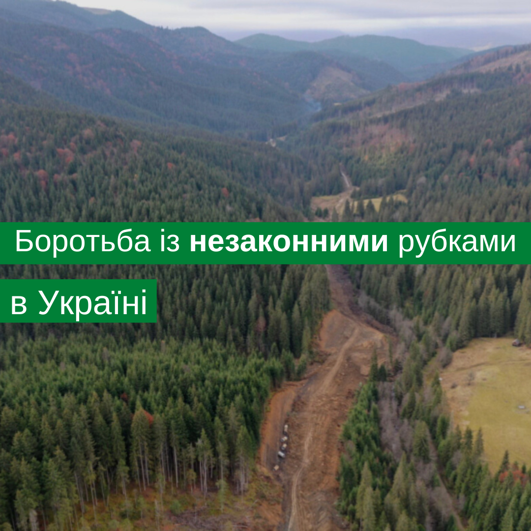 Combating illegal logging in Ukraine