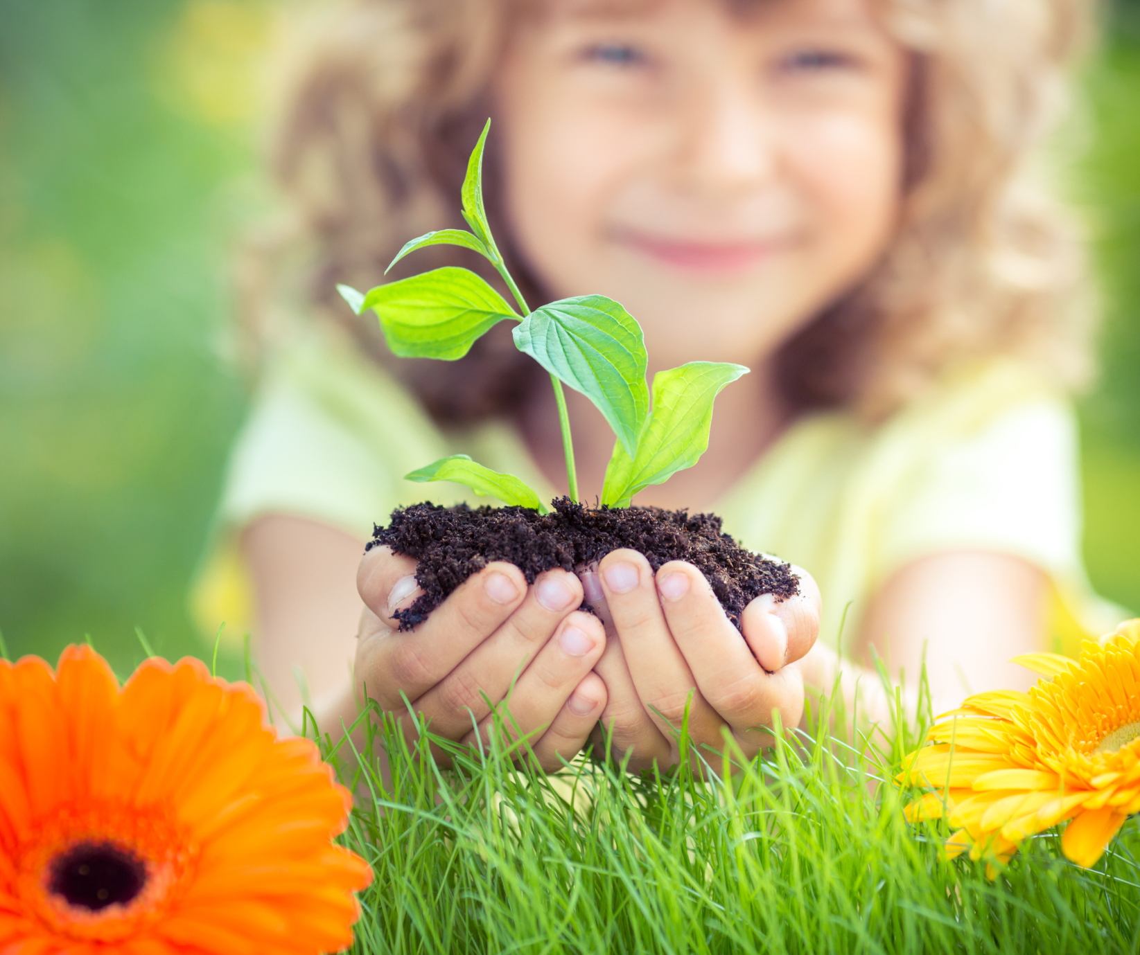 GREEN HANDS: Preserving Forest Ecosystems through Energetic Learning and Thoughtful Action – Forest Educational Initiatives