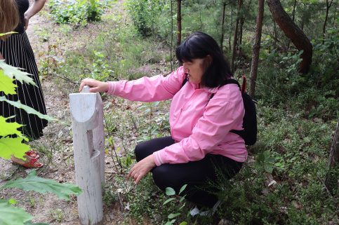 forestcom-trenong-nezakonni-rubky-2.JPG