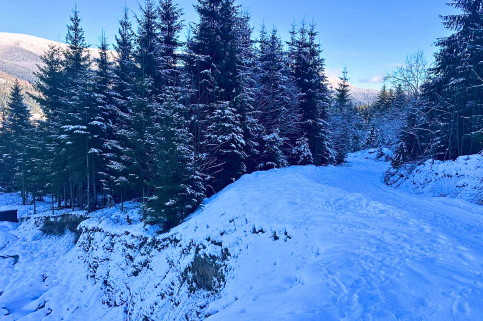 forestcom-bukovel-3.jpg