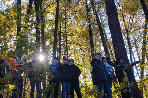 forestcom-ZD-25.10.25-3.jpg
