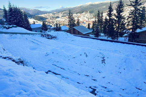 forestcom-bukovel-1.jpg