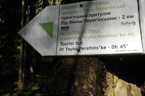 forestcom-yayko_6.jpg