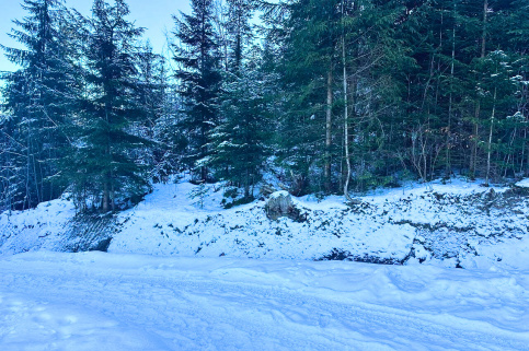 forestcom-bukovel-4.jpg
