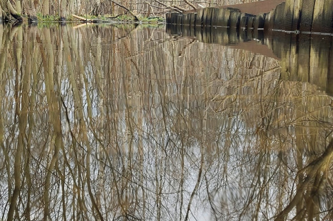 forestcom-rozto4ya-7.jpg