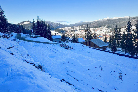 forestcom-bukovel-2.jpg