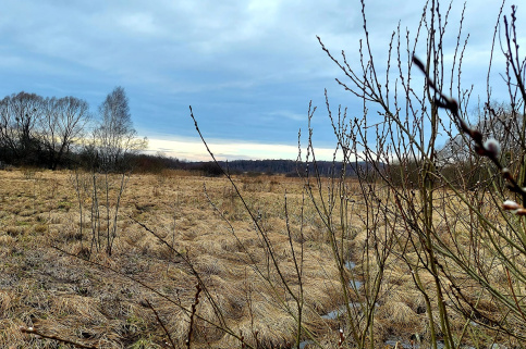 forestcom-rozto4ya-8.jpg