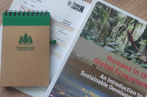 forestcom-Erasmus6.jpg