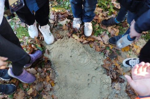forestcom-ZD-25.10.25-6.jpg