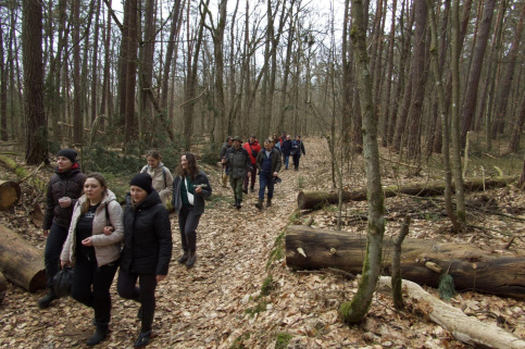 forestcom-rozto4ya-13.jpg